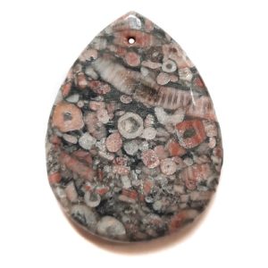 Pendant584 - Fossil Crinoid Marble Pendant