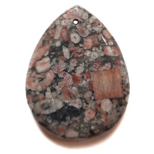 Pendant585 - Fossil Crinoid Marble Pendant