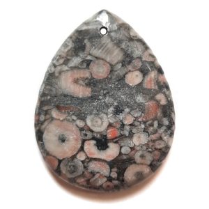 Pendant586 - Fossil Crinoid Marble Pendant