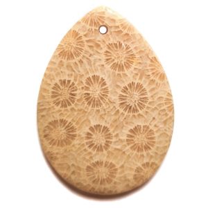 Fossil Coral Drilled Pendant #141