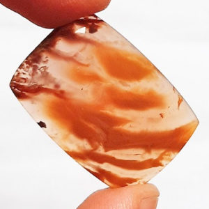 Cab3007 - Rooster Tail Agate Cabochon