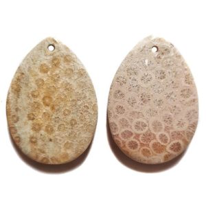 Fossil Coral Drilled Pendants #136