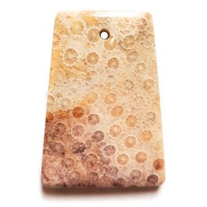 Fossil Coral Drilled Pendant #51