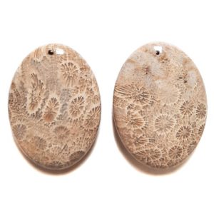 Fossil Coral Drilled Pendants #528