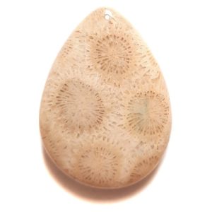 Fossil Coral Drilled Pendant #539
