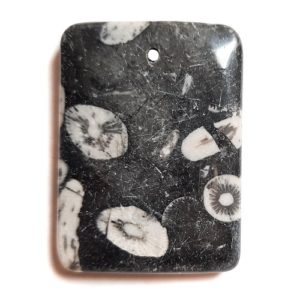 Fossil Stone Drilled Pendant #345