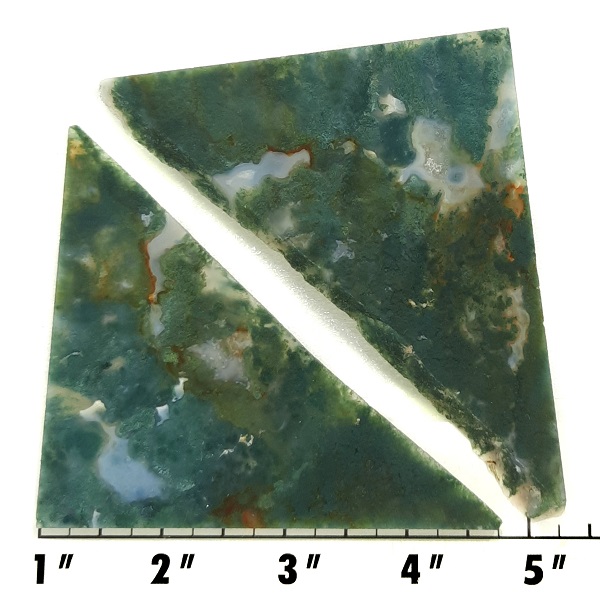 Slab1947 - Green Moss Agate slabs