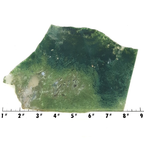 Slab1837 - Green Moss Agate slab