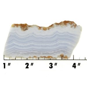 Slab1875 - Blue Lace Agate slab