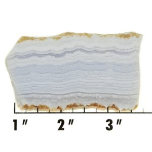 Slab1878 - Blue Lace Agate slab