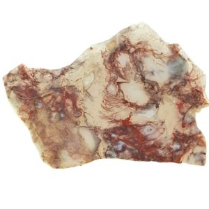 Horse Canyon Moss Agate Slabs from California