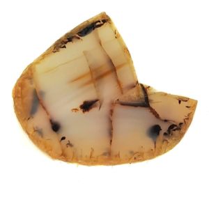 Agate Slabs from Wyoming