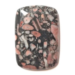 Cab1101 - Crinoid Fossil Marble Cabochon