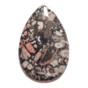 Cab490 - Crinoid Fossil Marble Cabochon