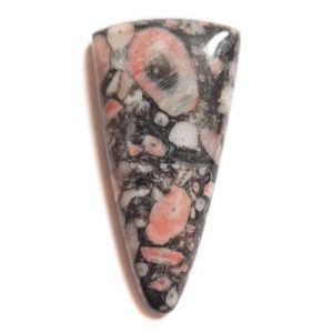 Cab501 - Crinoid Fossil Marble Cabochon