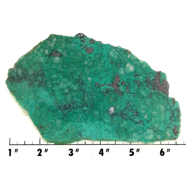 Slab1297 - Malachite Brochantite slab