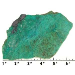Slab1305 - Malachite Brochantite slab