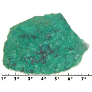 Slab1310 - Malachite Brochantite slab