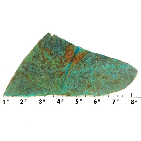 Slab1247 - Malachite Brochantite slab
