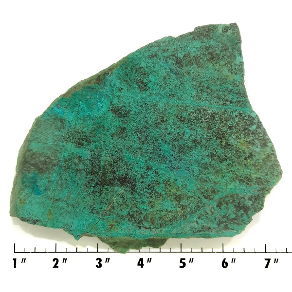 Slab1235 - Malachite Brochantite slab