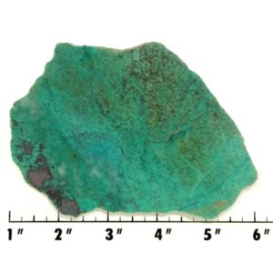 Slab1300 - Malachite Brochantite slab