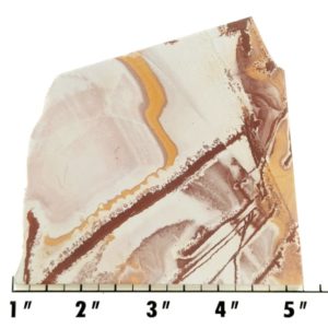 Slab1371 - Sonoran Dendritic Jasper slab