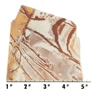 Slab1372 - Sonoran Dendritic Jasper slab