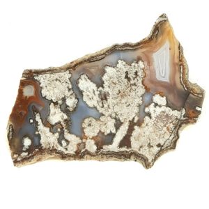 Big Diggins Agate Slabs from New Mexico