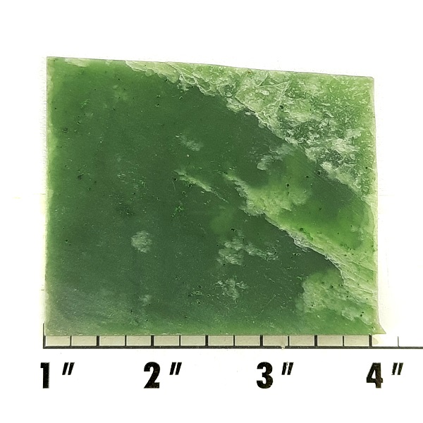 Slab159 - Green Nephrite Jade Slab