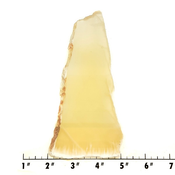 Slab1083 - Honeycomb Calcite Slab