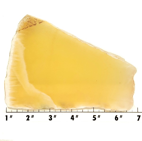 Slab1030 - Honeycomb Calcite Slab