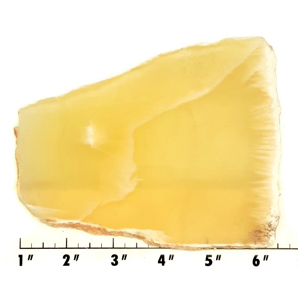 Slab1035 - Honeycomb Calcite Slab