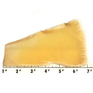 Slab1062 - Honeycomb Calcite Slab