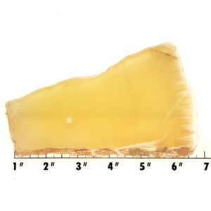 Slab1069 - Honeycomb Calcite Slab