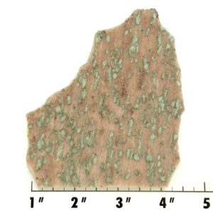 Slab1225 - Nunderite (Nundoorite) slab