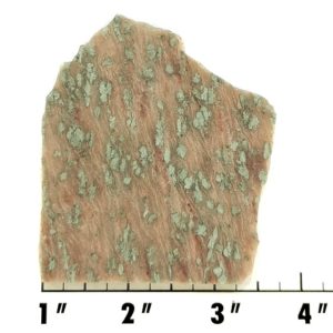 Slab1897 - Nunderite (Nundoorite) slab