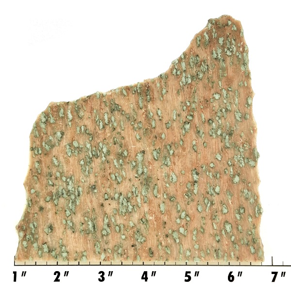 Slab1206 - Nunderite (Nundoorite) slab
