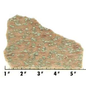 Slab1879 - Nunderite (Nundoorite) slab