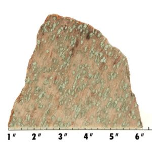 Slab1211 - Nunderite (Nundoorite) slab