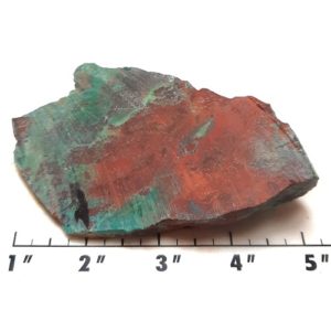 Parrot Wing Chrysocolla Rough #1