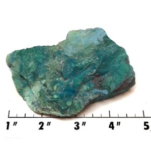 Parrot Wing Chrysocolla Rough #2