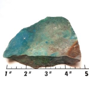 Parrot Wing Chrysocolla Rough #3