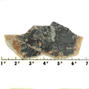 Slab2036 - Picasso Marble slab
