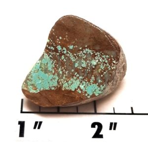 Number 8 Mine Stabilized Turquoise Rough #6
