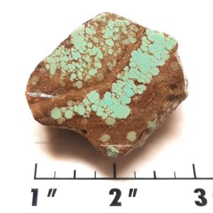 Number 8 Mine Stabilized Turquoise Rough #7