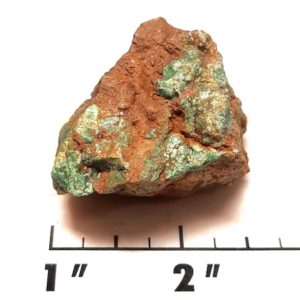Battle Mountain Stabilized Turquoise medium size rough #15