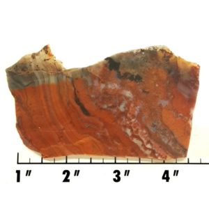 Slab532 - Bloody Basin Agate Slab