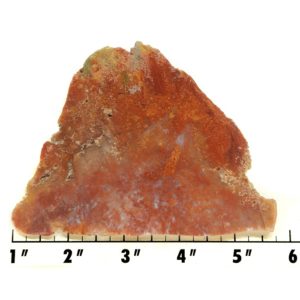 Slab521 - Bloody Basin Agate Slab