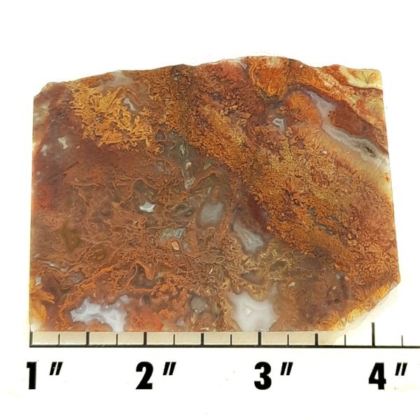 Slab529 - Bloody Basin Agate Slab