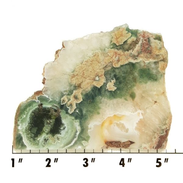 Slab1974 - Green Moss Agate slab
